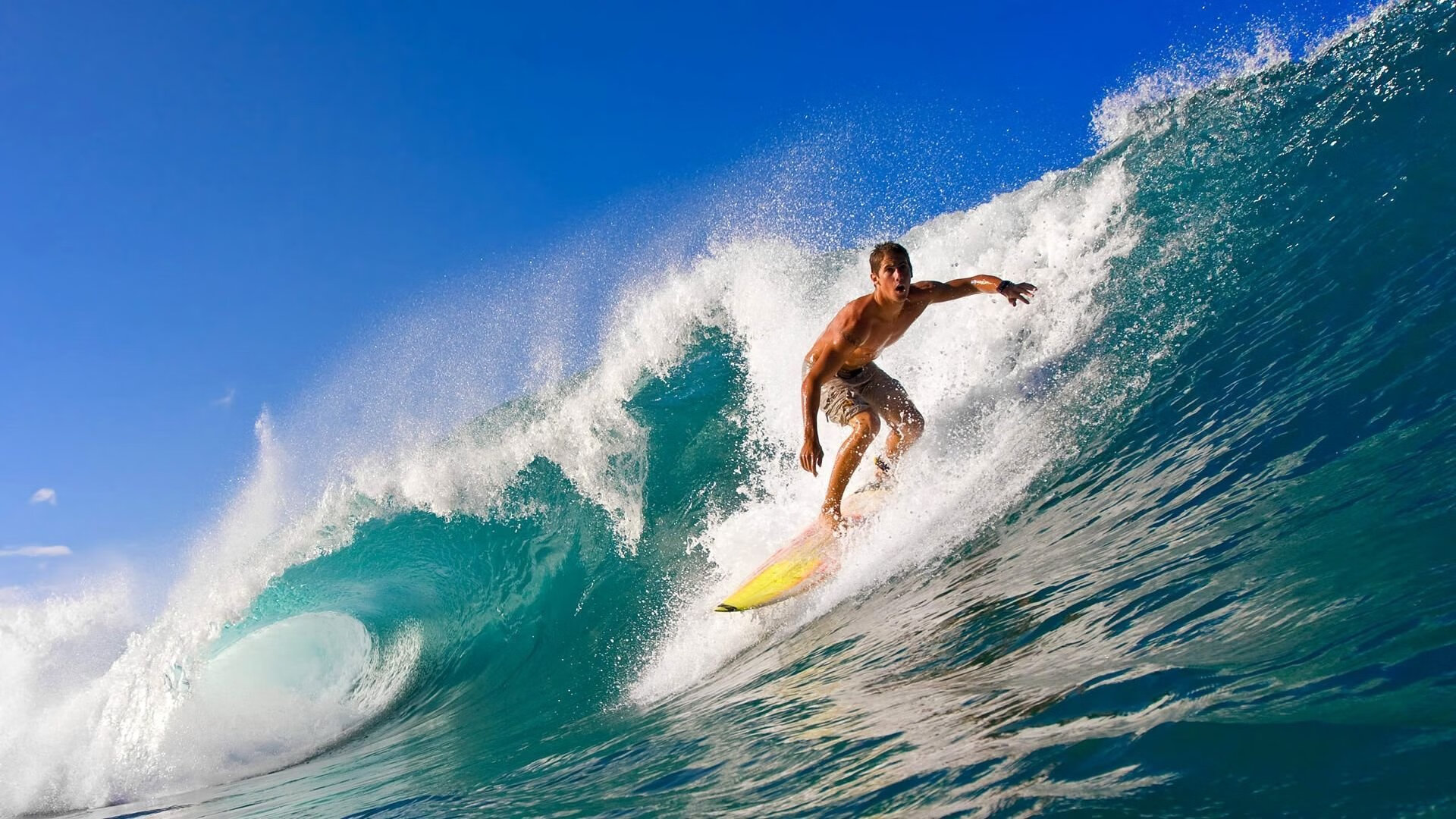 体育产业技术创新平台,体育产业服务系统